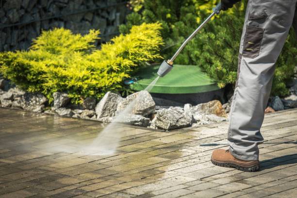 Best Brick and Stone Cleaning in San Augustine, TX