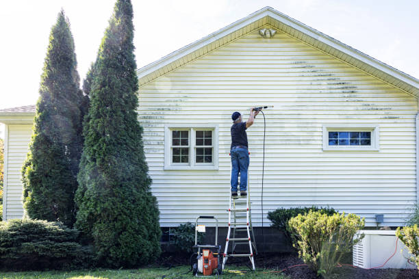 Best Roof Cleaning and Mildew Removal in San Augustine, TX