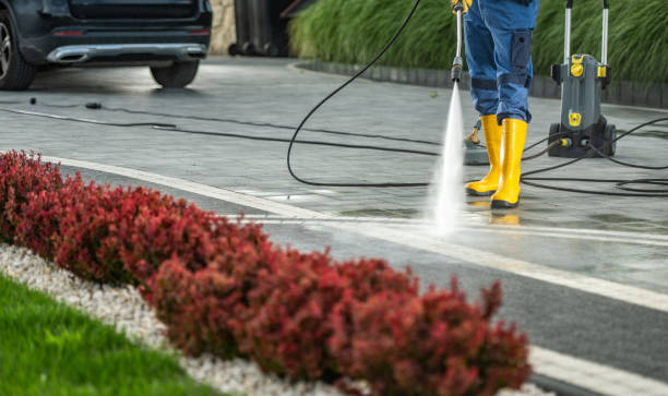 Best Parking Lot Cleaning in San Augustine, TX